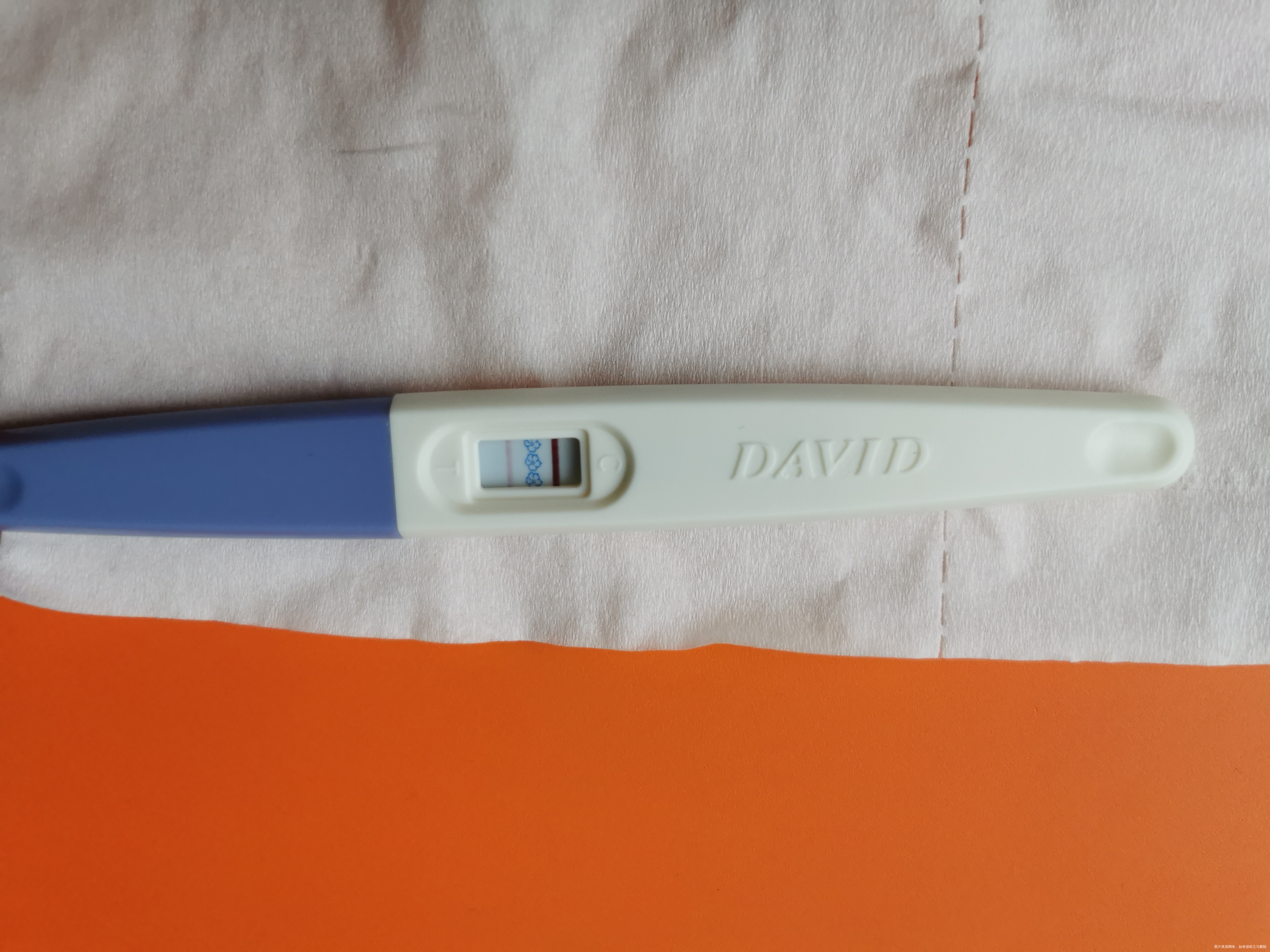 终于不下雨啦,今天早上晨尿测出了两道杠早上用