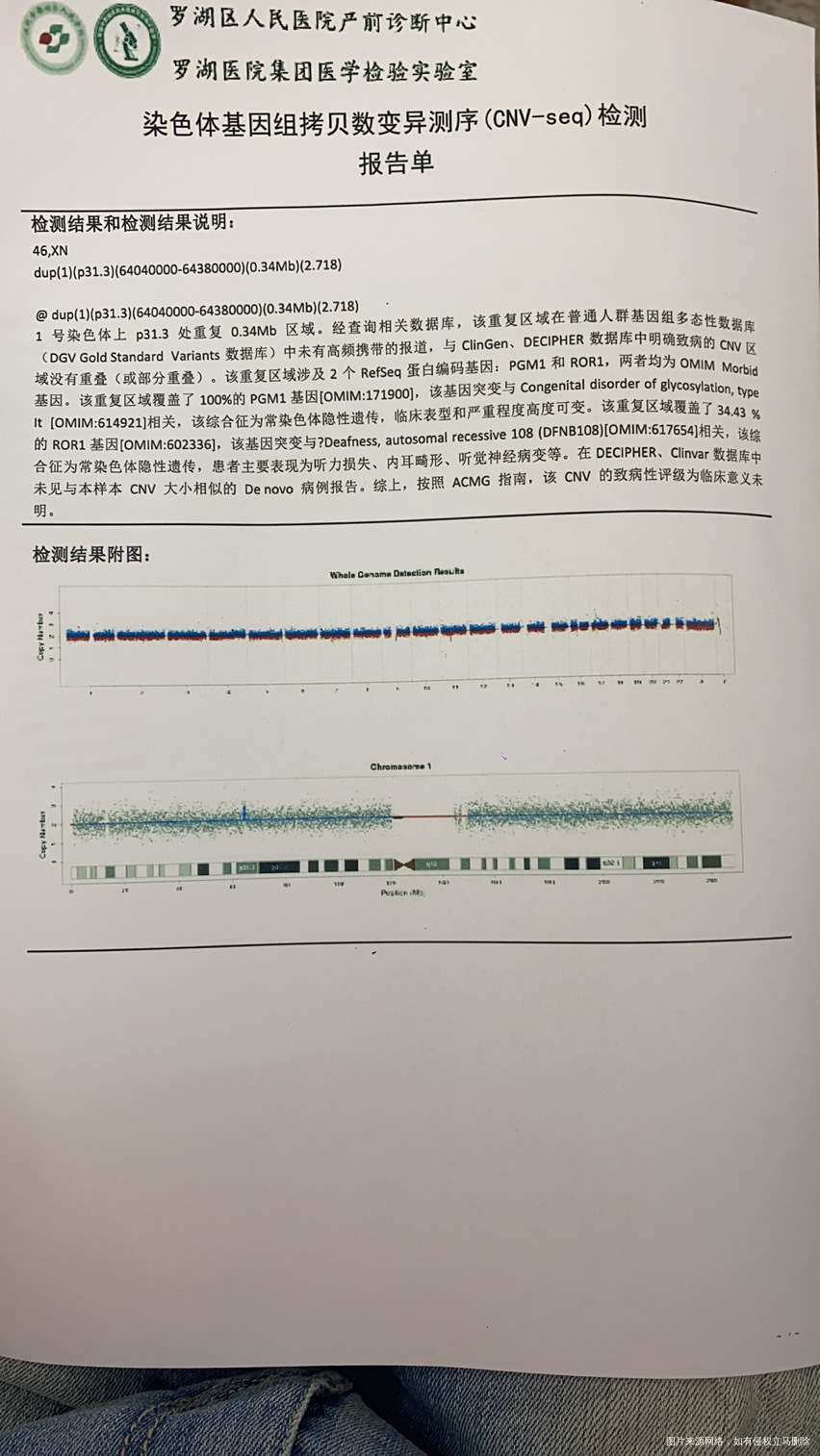 请帮忙看一下报告是否有问问题