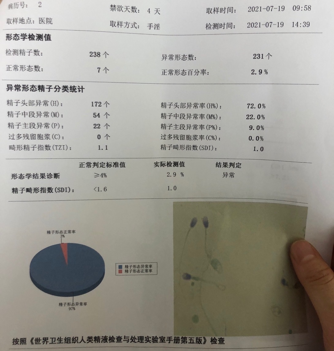 下个月做宫腔镜分离手术后精子质量可以自怀吗