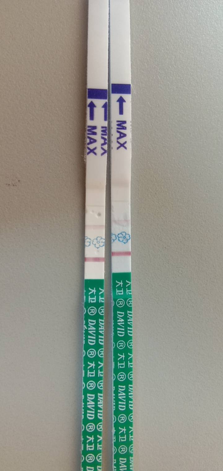 上个61号来月经这个月77试纸测试没有怀孕7