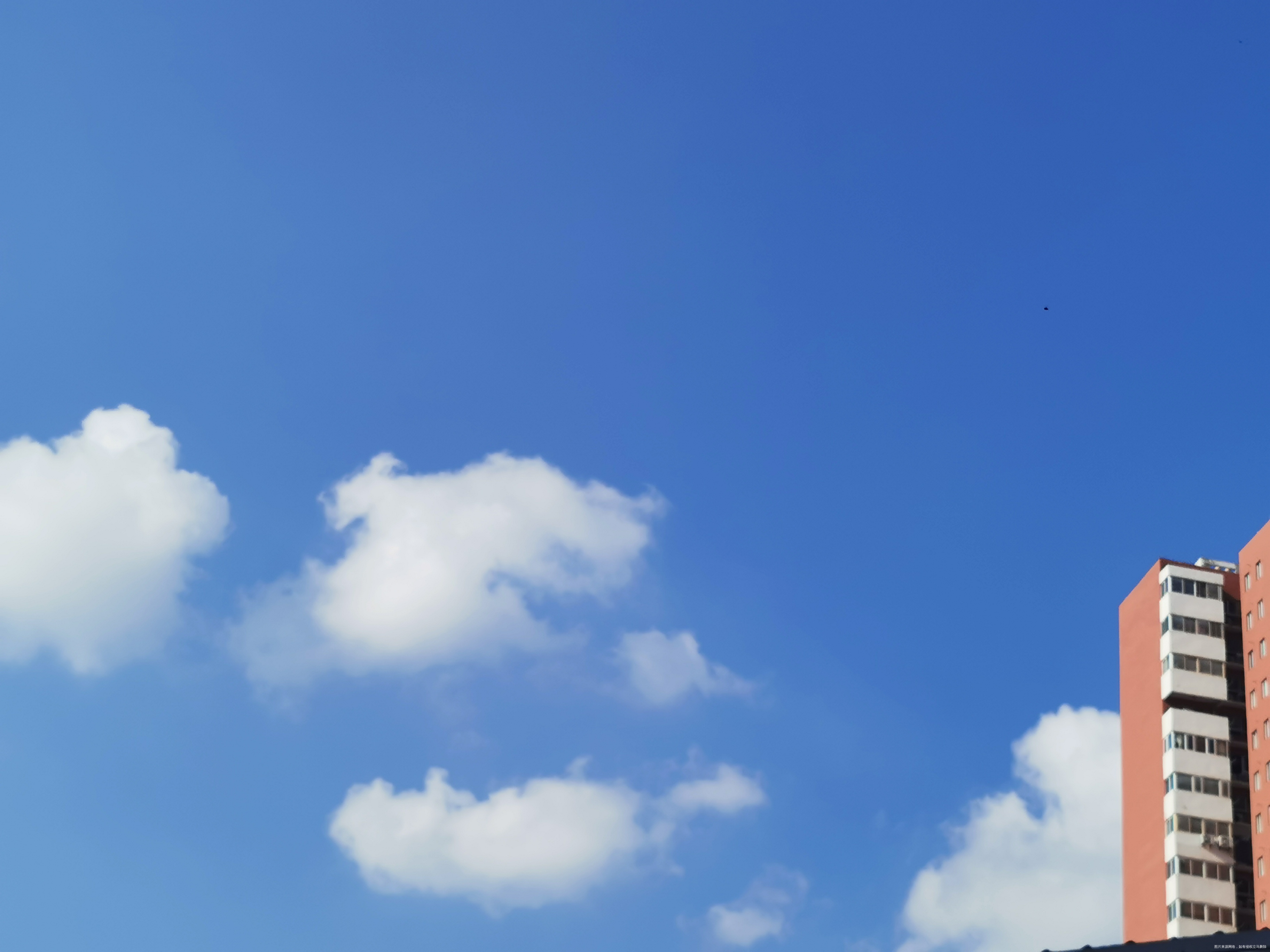 验血确定怀孕了,早上一杯黑豆浆+煮鸡蛋+拌黄