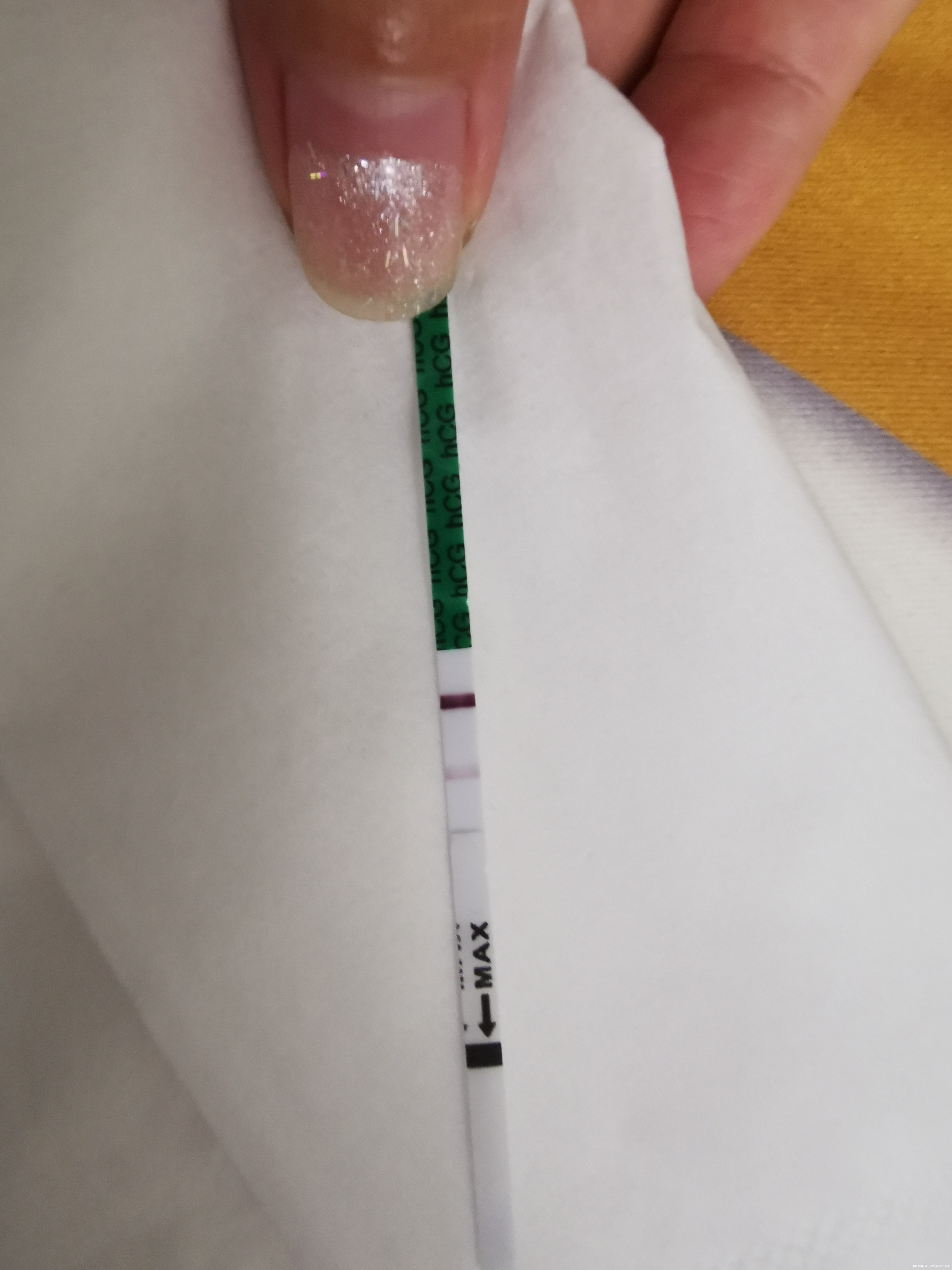 终于不下雨啦,今天早上晨尿测出了两道杠早上用