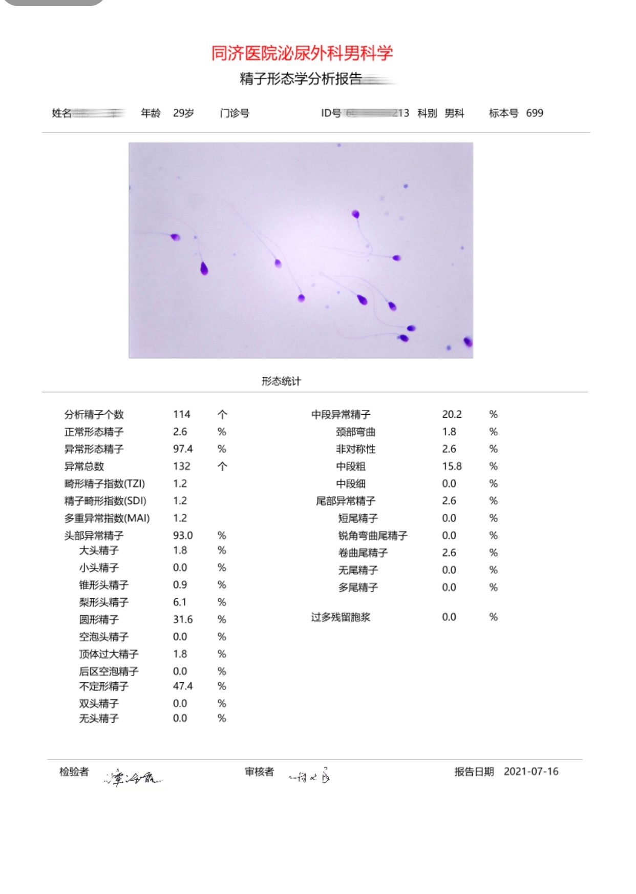 医生让吃五子衍宗丸和男版爱乐维准备这个月开始