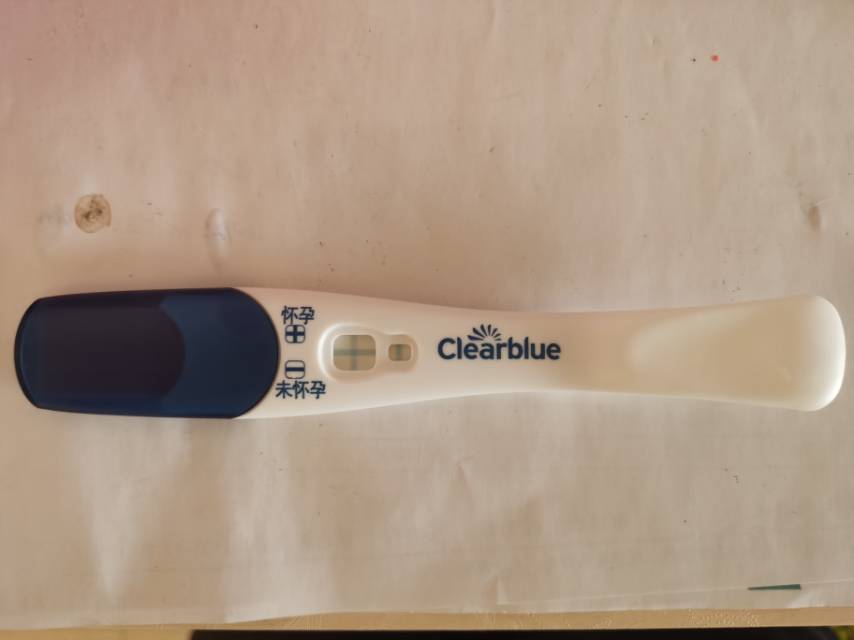 本人患有多囊吃了三个月达英今天排卵第十二天早