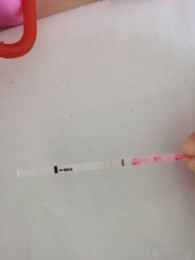 本人患有多囊吃了三个月达英今天排卵第十二天早