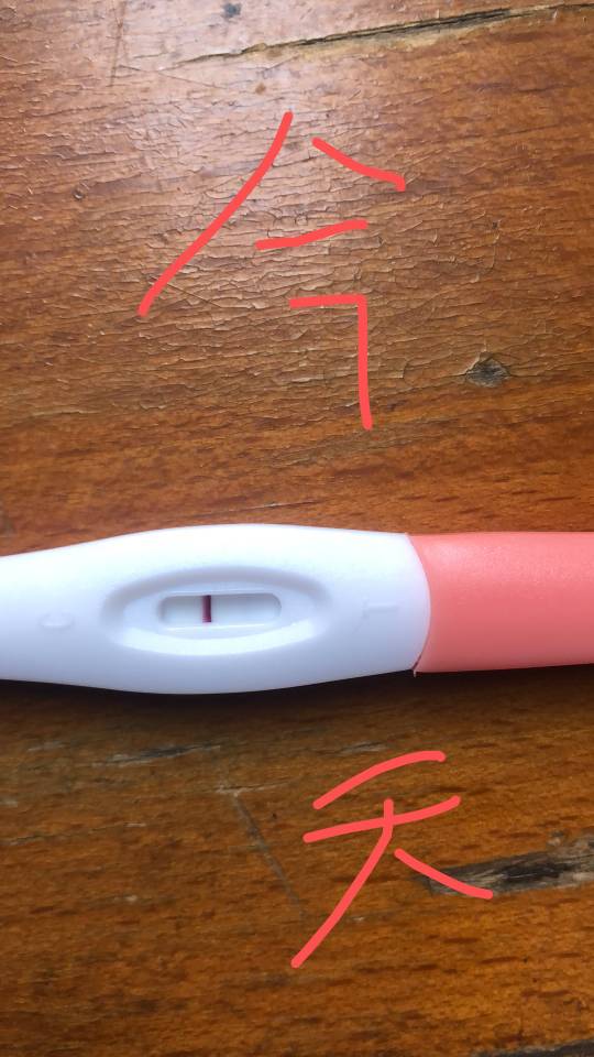 你好试管婴儿移植囊胚第8天孕纸测试是否怀孕