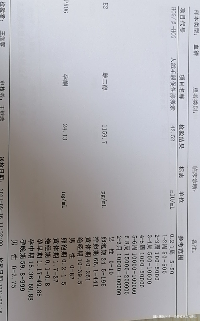 你好我是98号中午12点移植的4bb冻胚16
