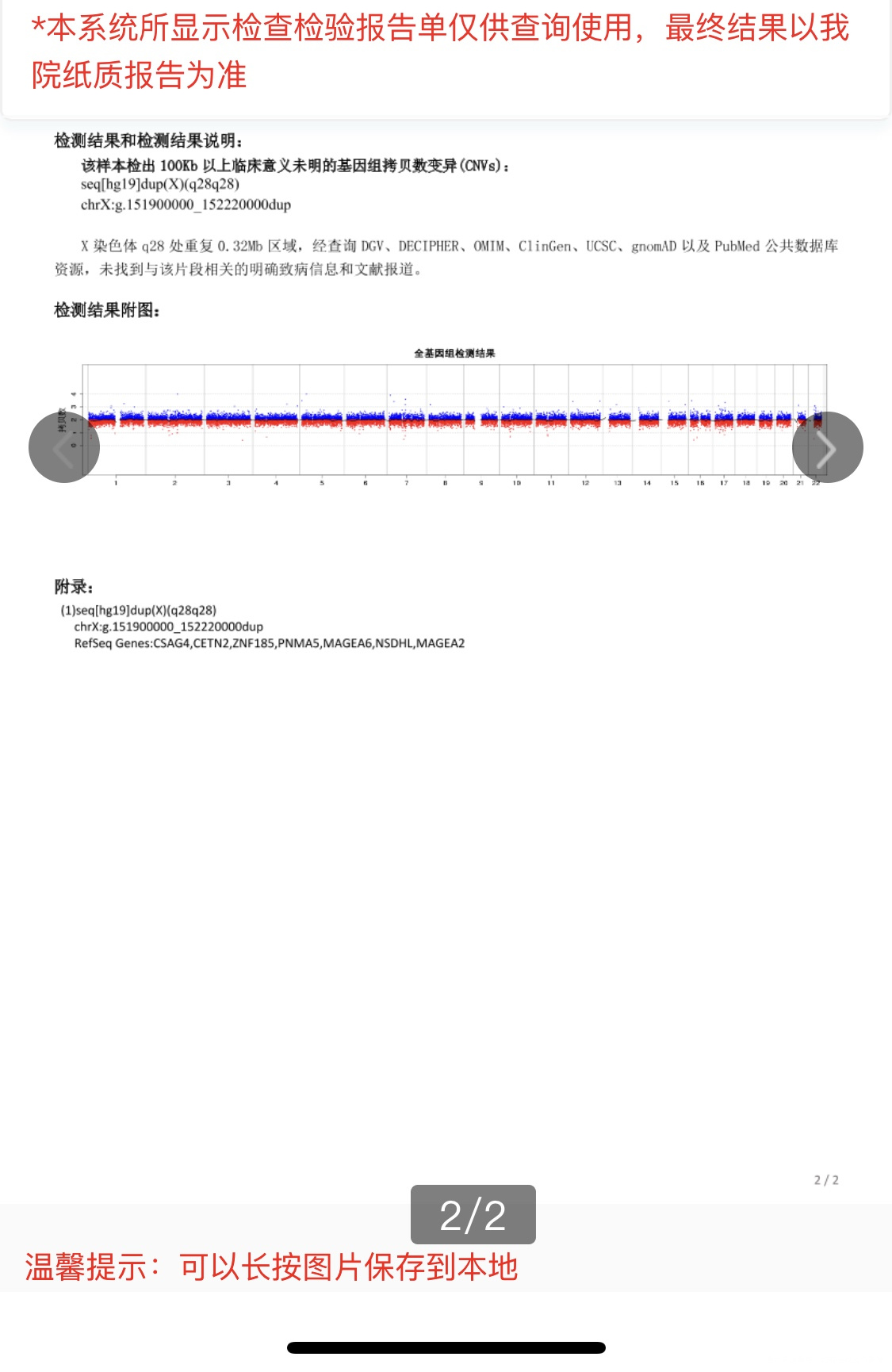 上一胎无脑儿胎儿组织染色体结果x染色体q28