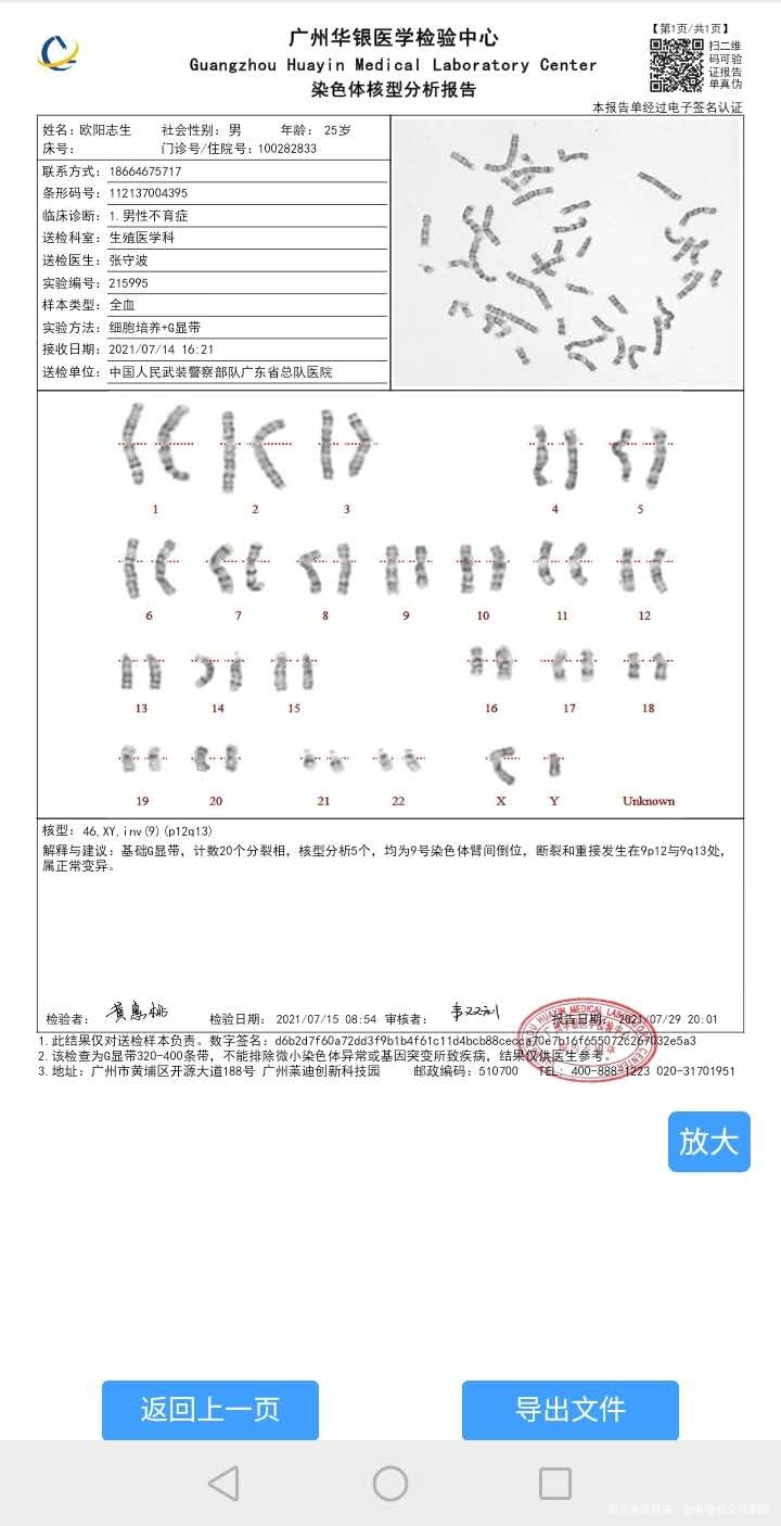 主任我染色体正常但我老公的染色体9号臂间倒位