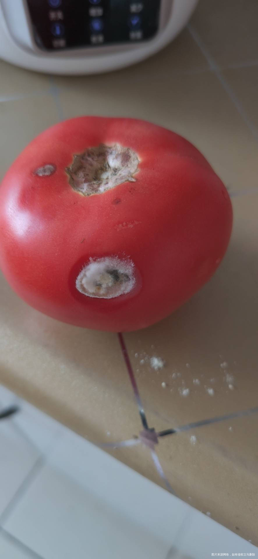 西红柿坏了我给扔了婆婆在垃圾篓里捡出来给我做