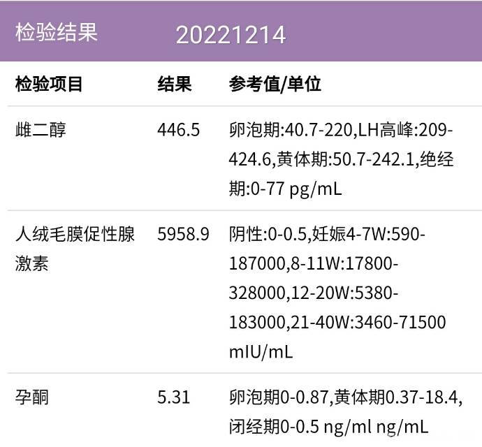 我1116移植一枚4BB囊胚今天去做B超发现