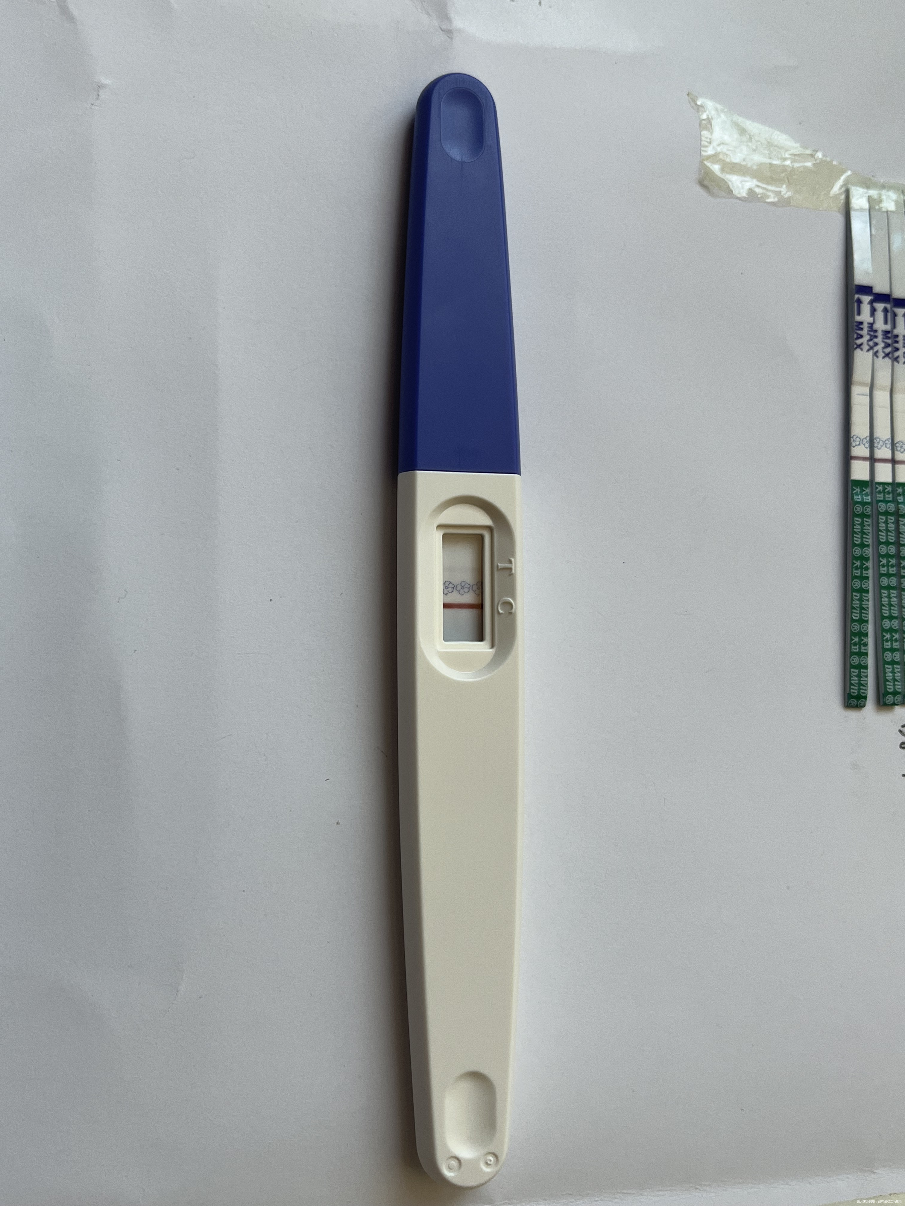 我多囊子宫内膜炎本月9日降调人工周期移植囊胚