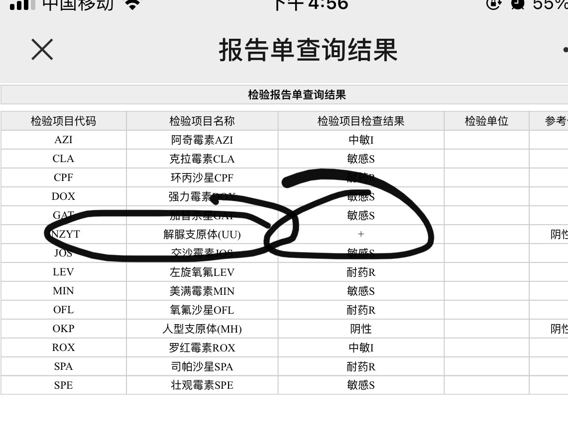 孕20周解脲支原体阳性分泌物较多白色需要用药