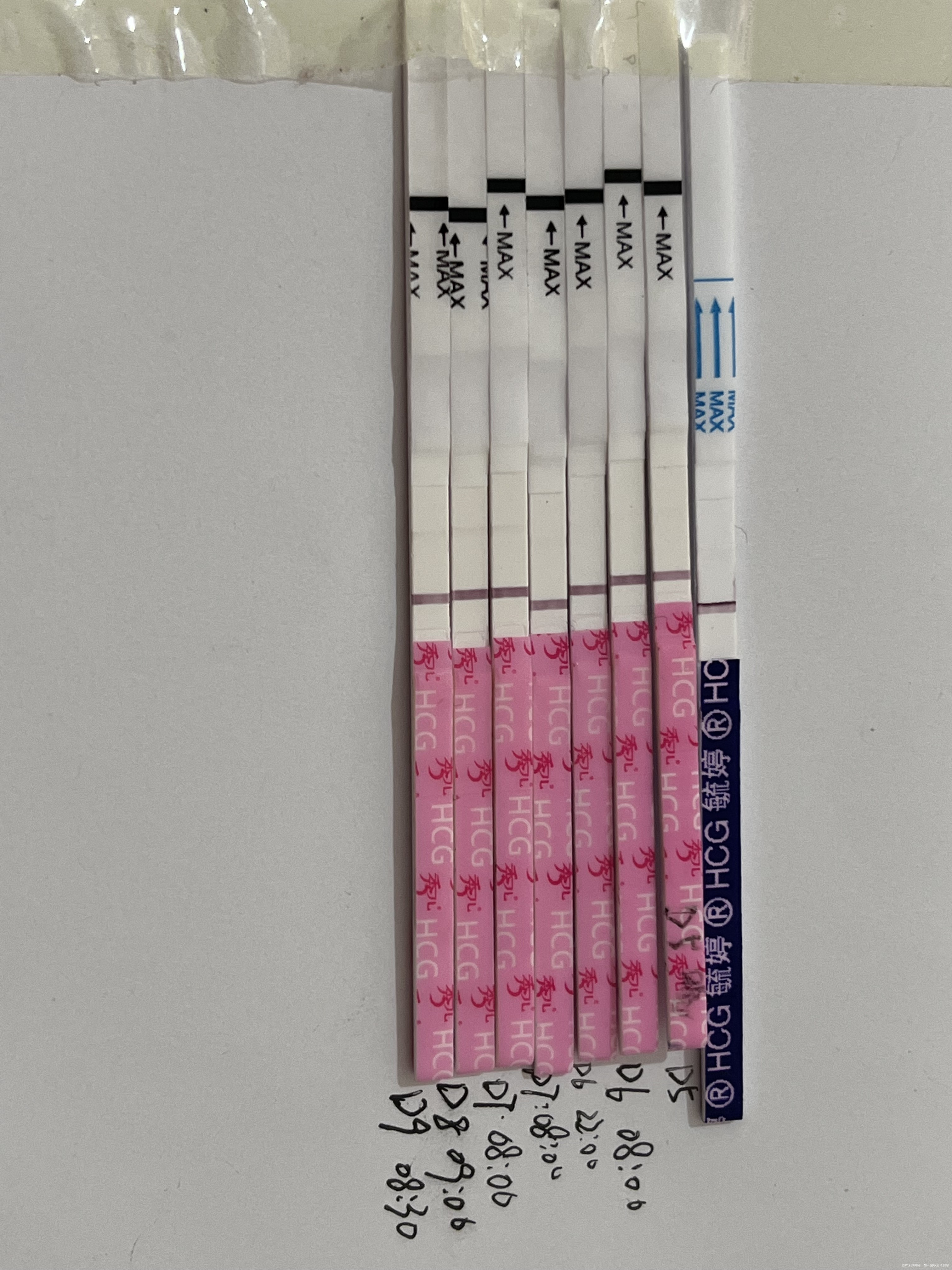 我多囊子宫内膜炎本月9日降调人工周期移植囊胚