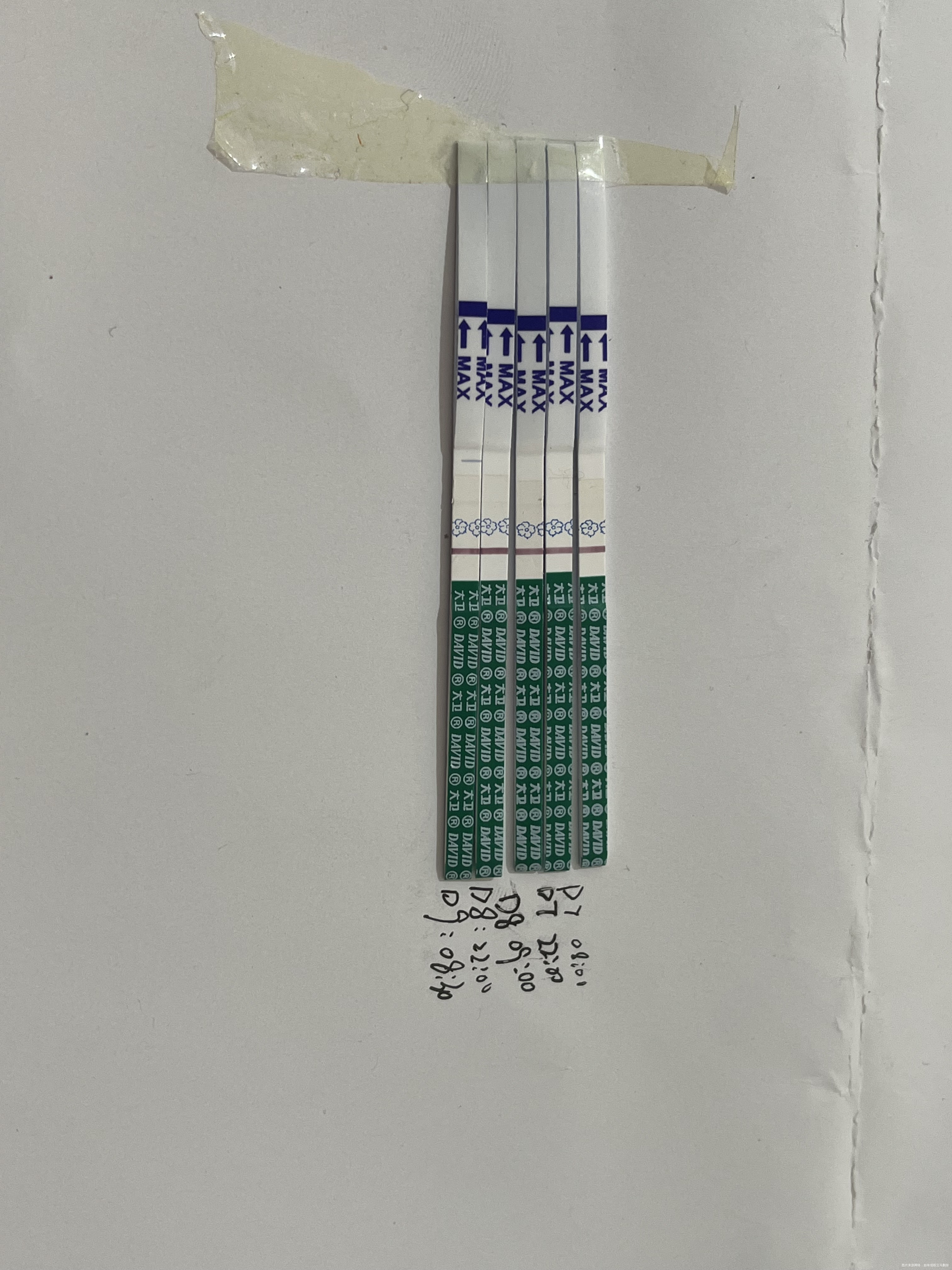 我多囊子宫内膜炎本月9日降调人工周期移植囊胚