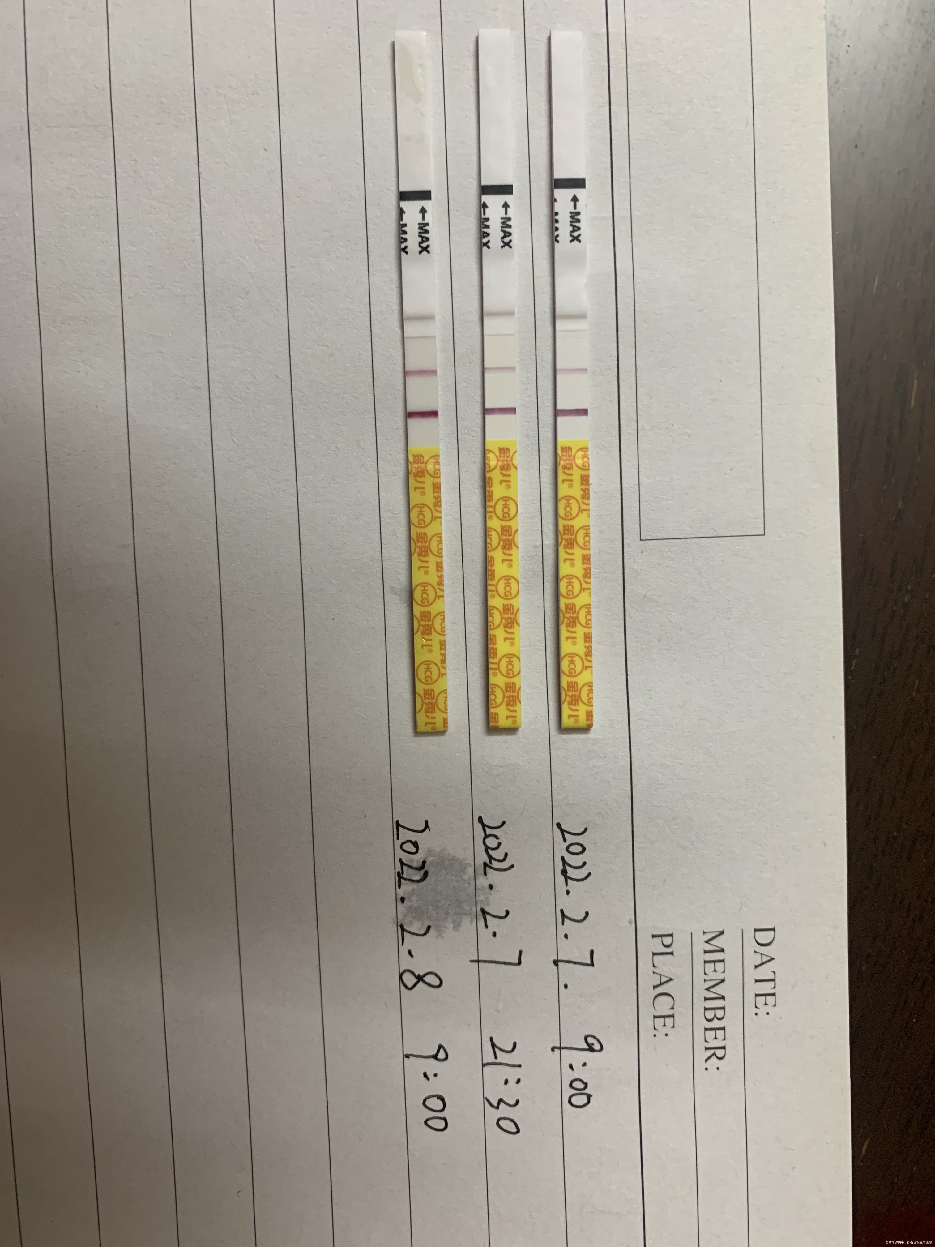 1月24号排卵的排卵15天的时候抽血化验hc