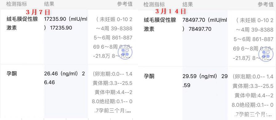 末次月经1月22日这两周抽血结果如下请问是否