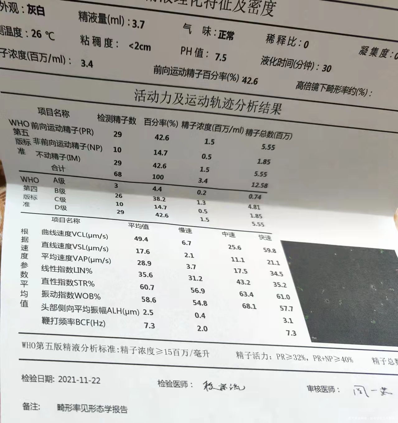 医生好麻烦帮看看这份检查单可以做试管一代吗谢
