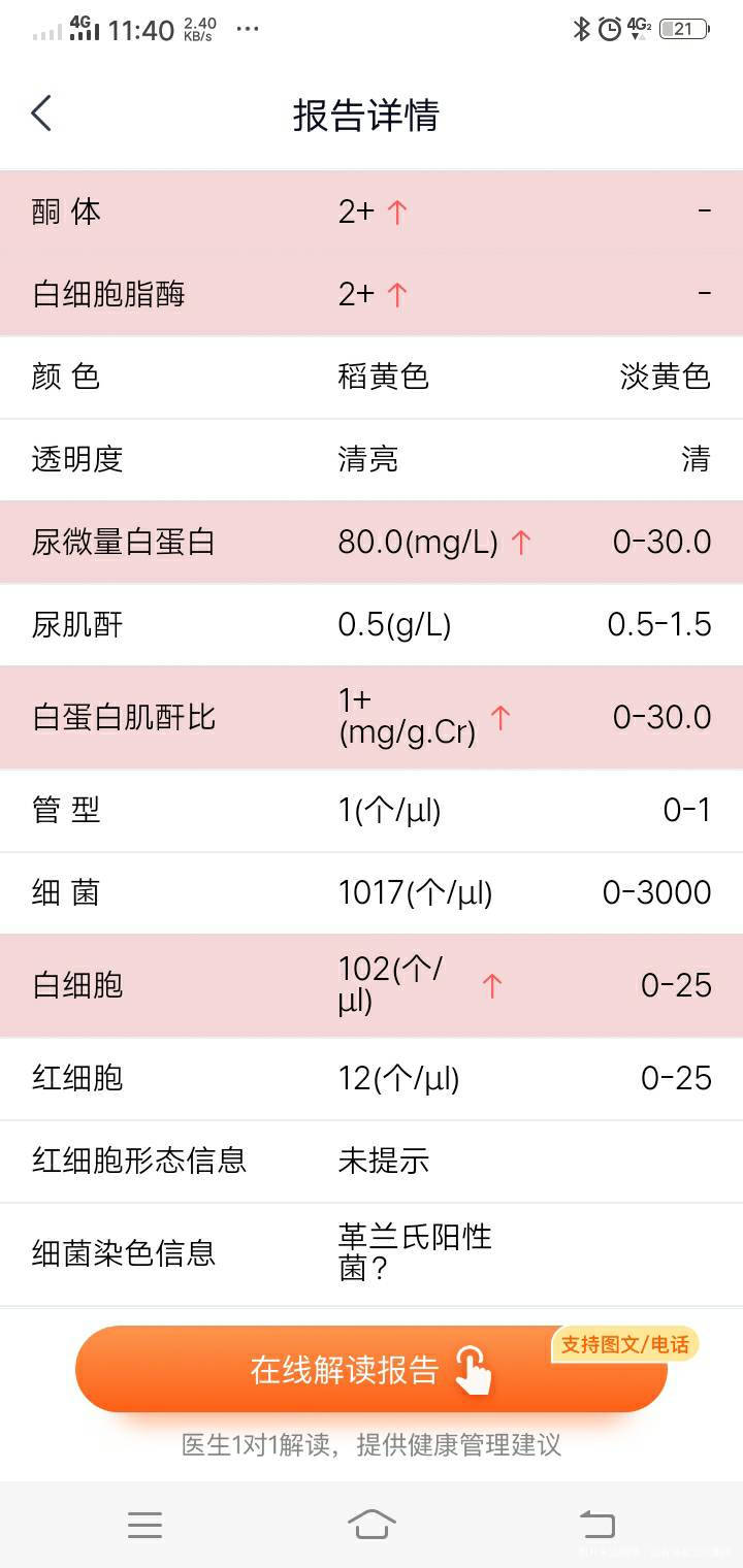 尿检不是空腹酮体2+要治疗吗菜跟肉吃不下