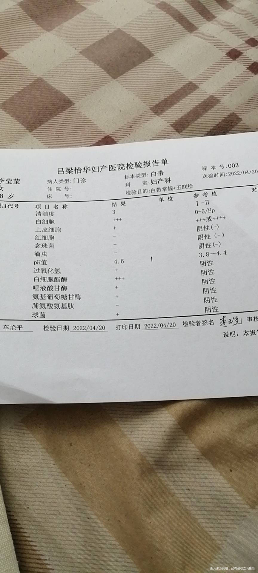 孕五个月麻烦看一下这个白带化验单
