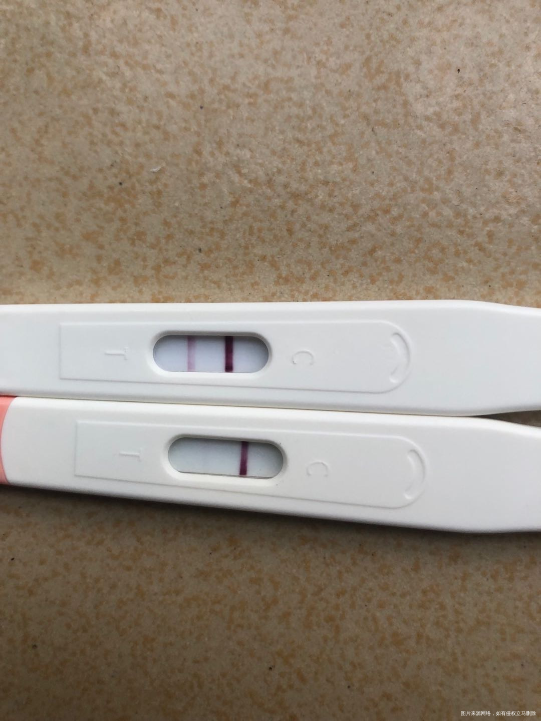 这是我移植第八第九天第十天测出来的结果是不是