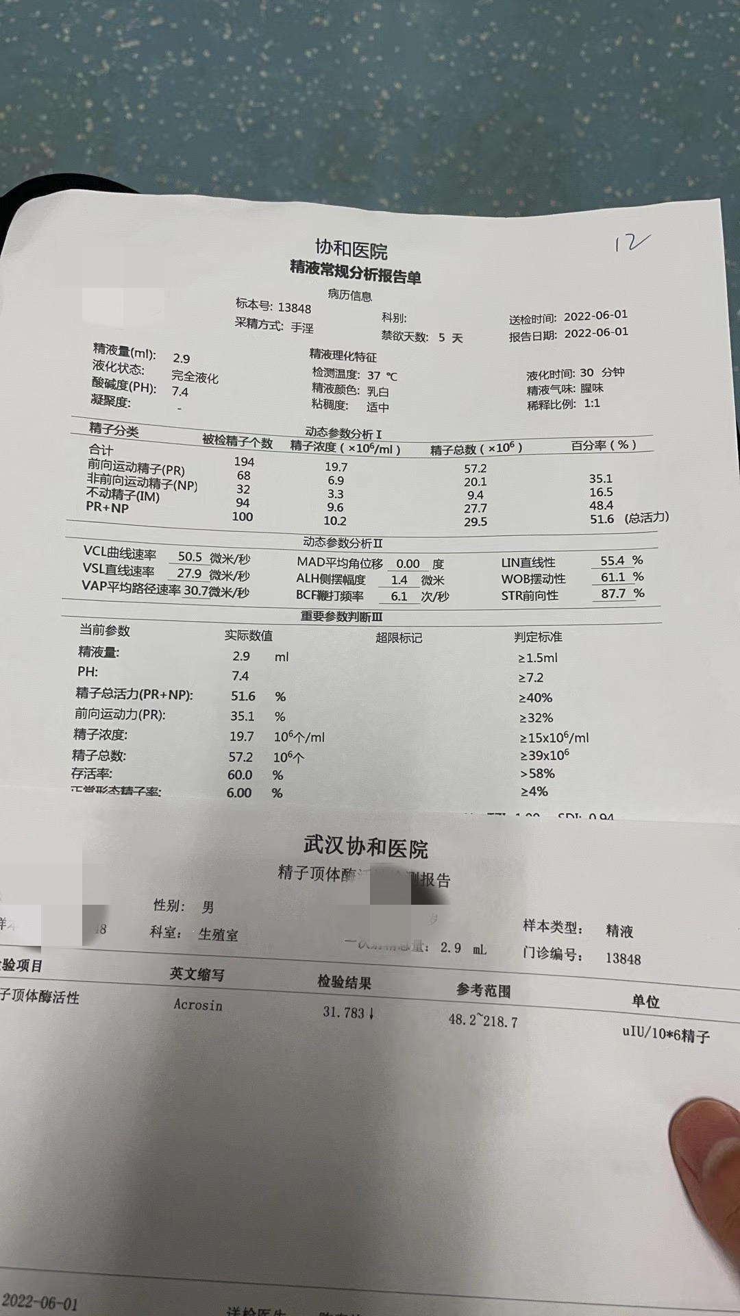 下图男方精子可以么可以吃什么调理么