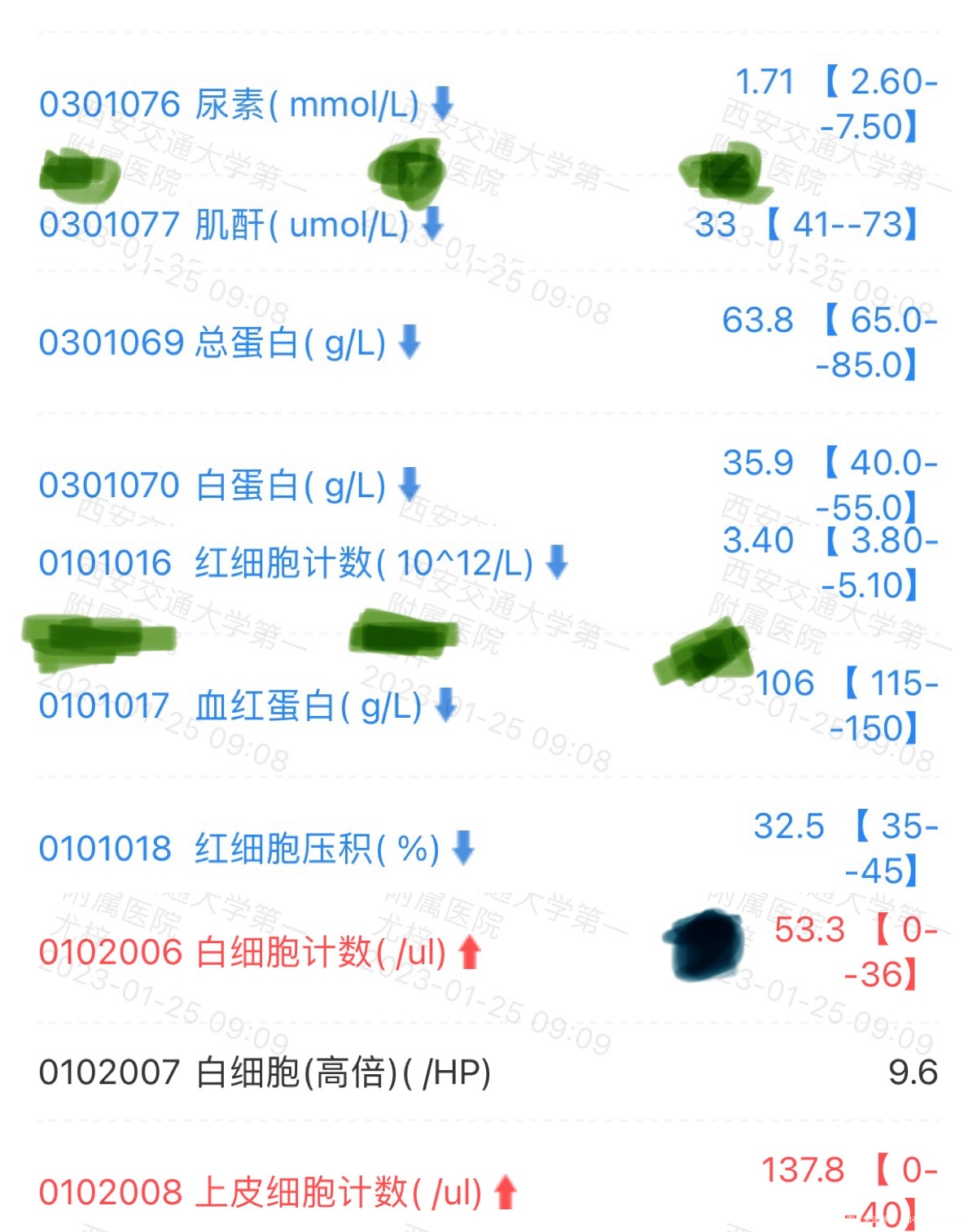 您好医生我现在是孕晚期33+3能不能麻烦您帮