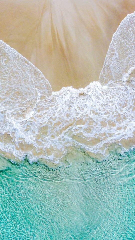 今日开启21天泡脚包自律打卡,完成打卡可以获