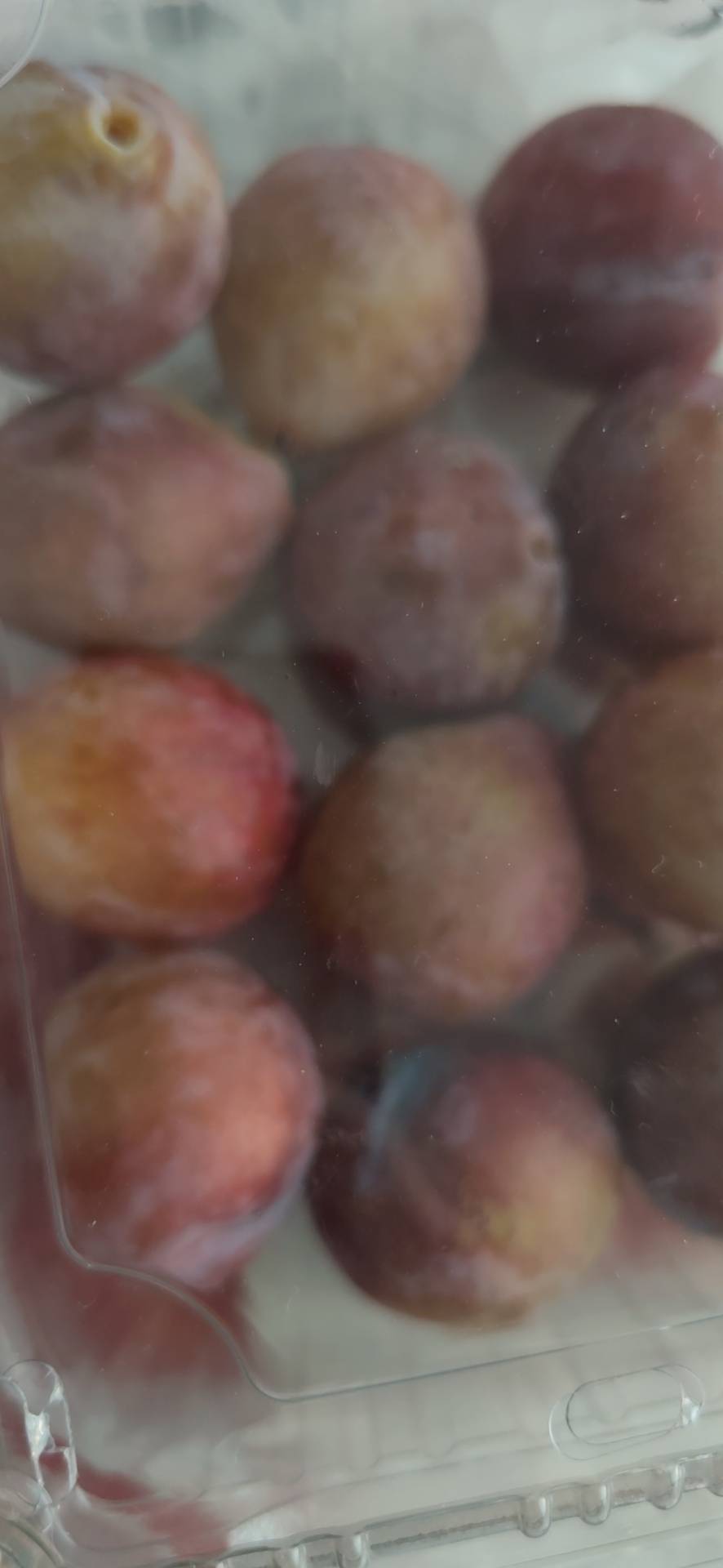 昨天在润田甘栗买的可能凉了点有点肚子不舒服我