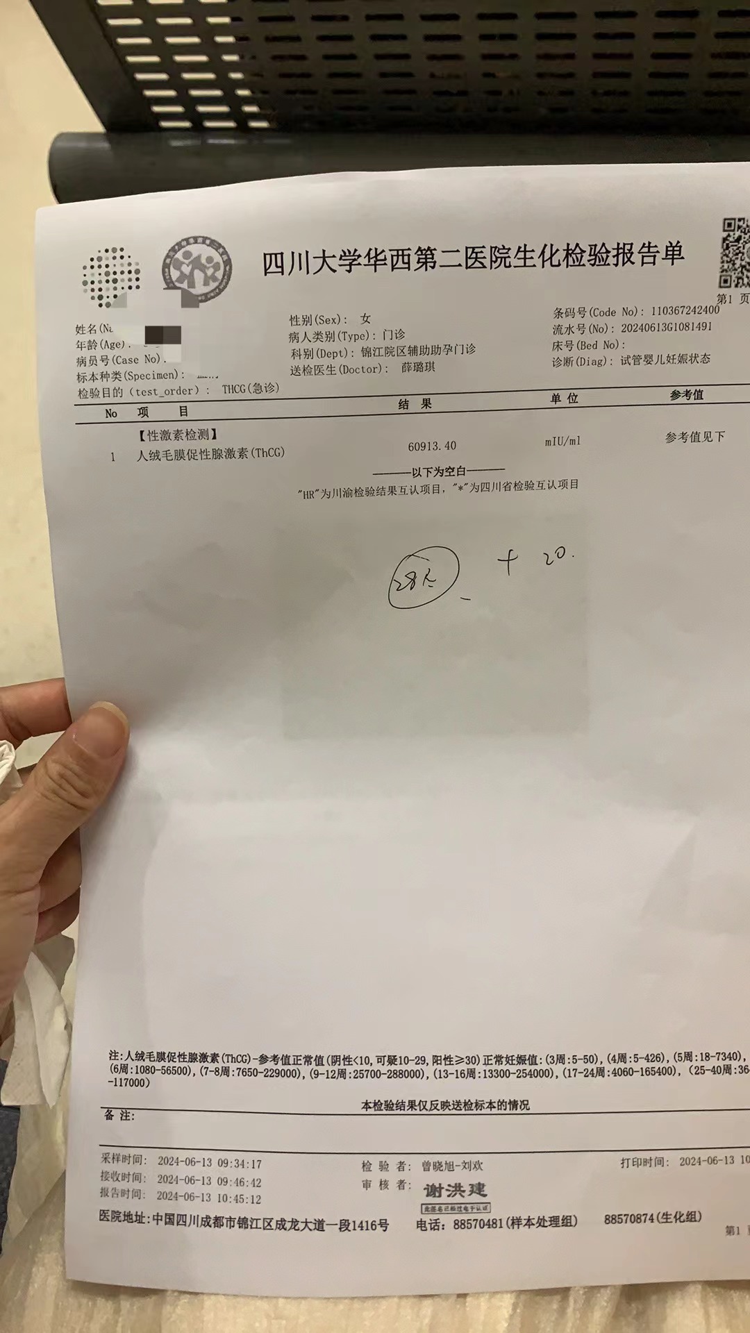 解冻移植移植的是6天的囊胚2024516号移