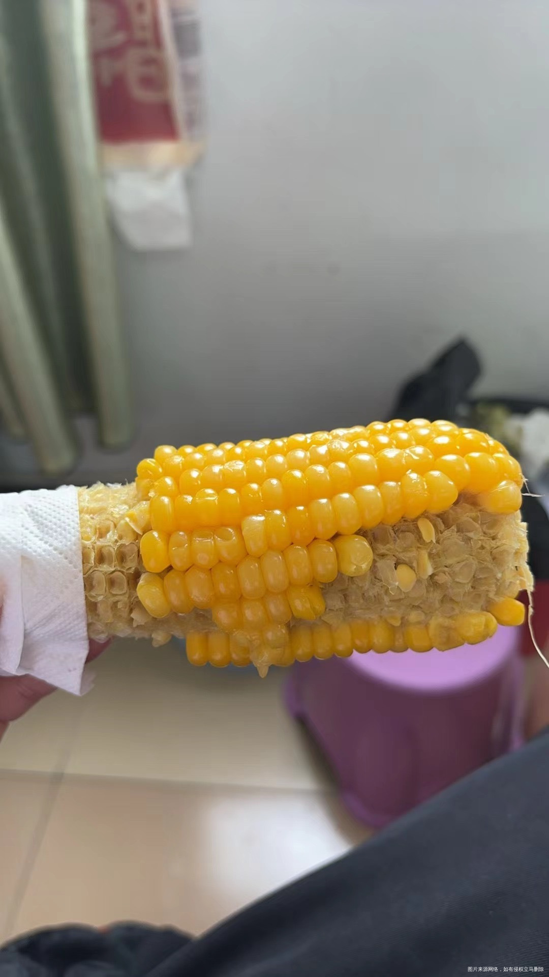 今日开启14天黑豆浆自律打卡,完成打卡可以获