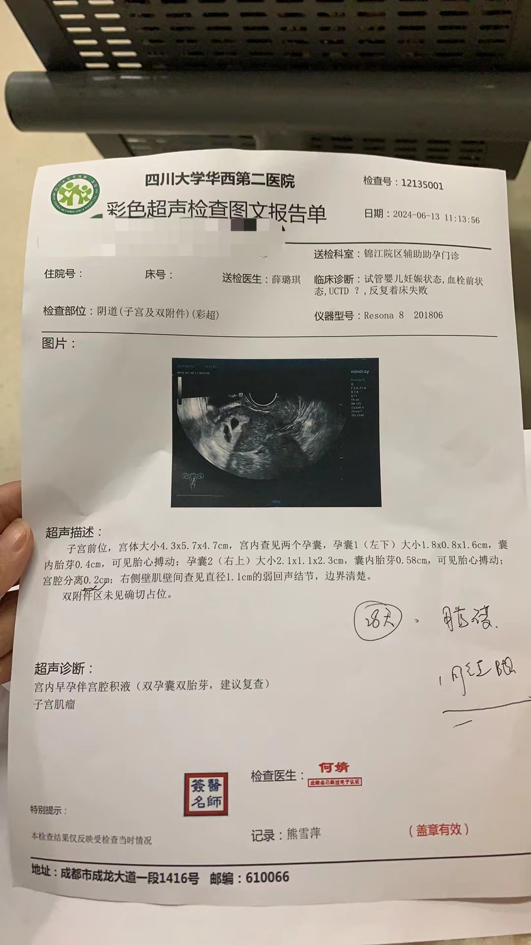 解冻移植移植的是6天的囊胚2024516号移