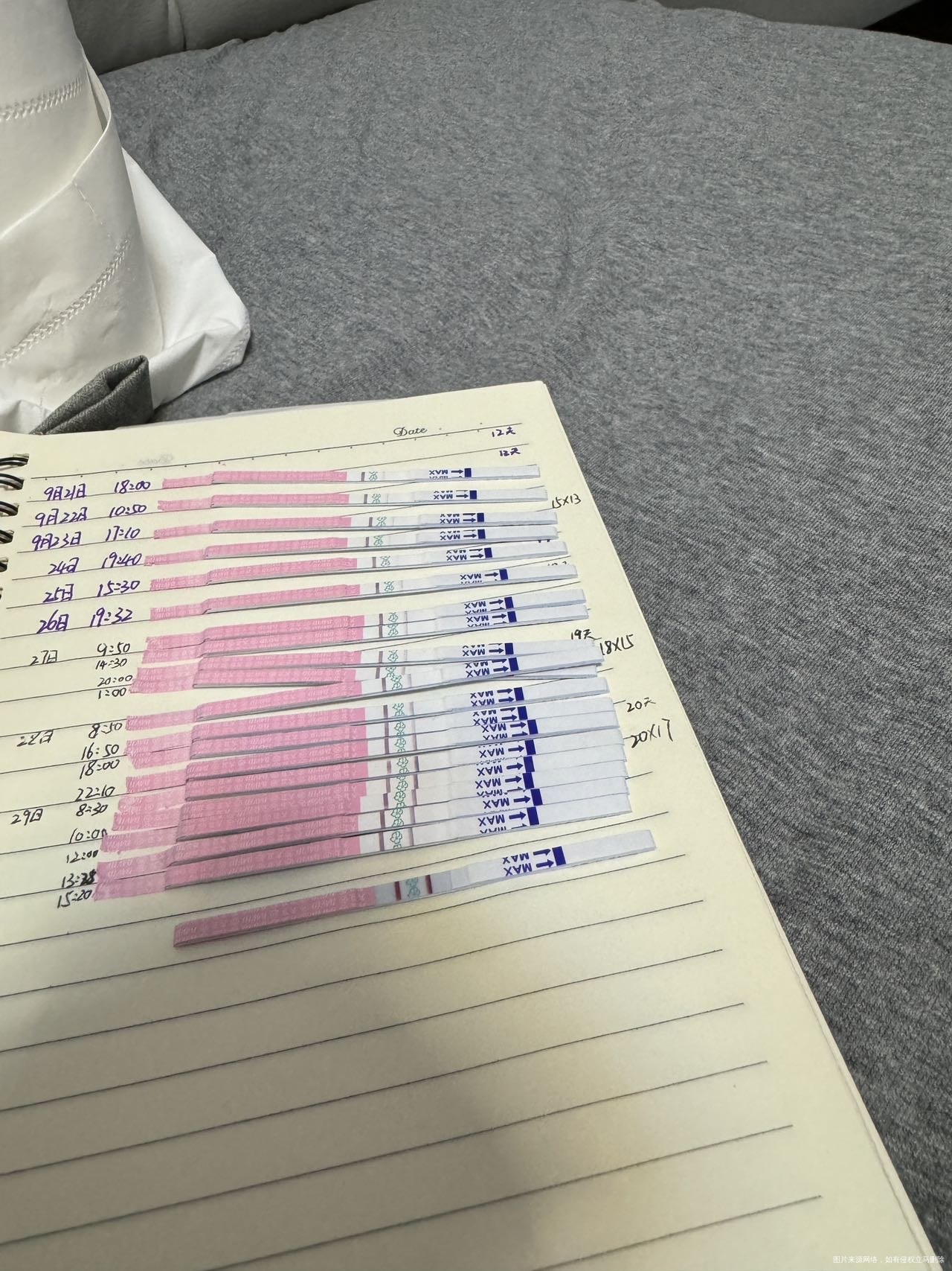 今天B超监测卵泡20✖️17排卵试纸从早上八