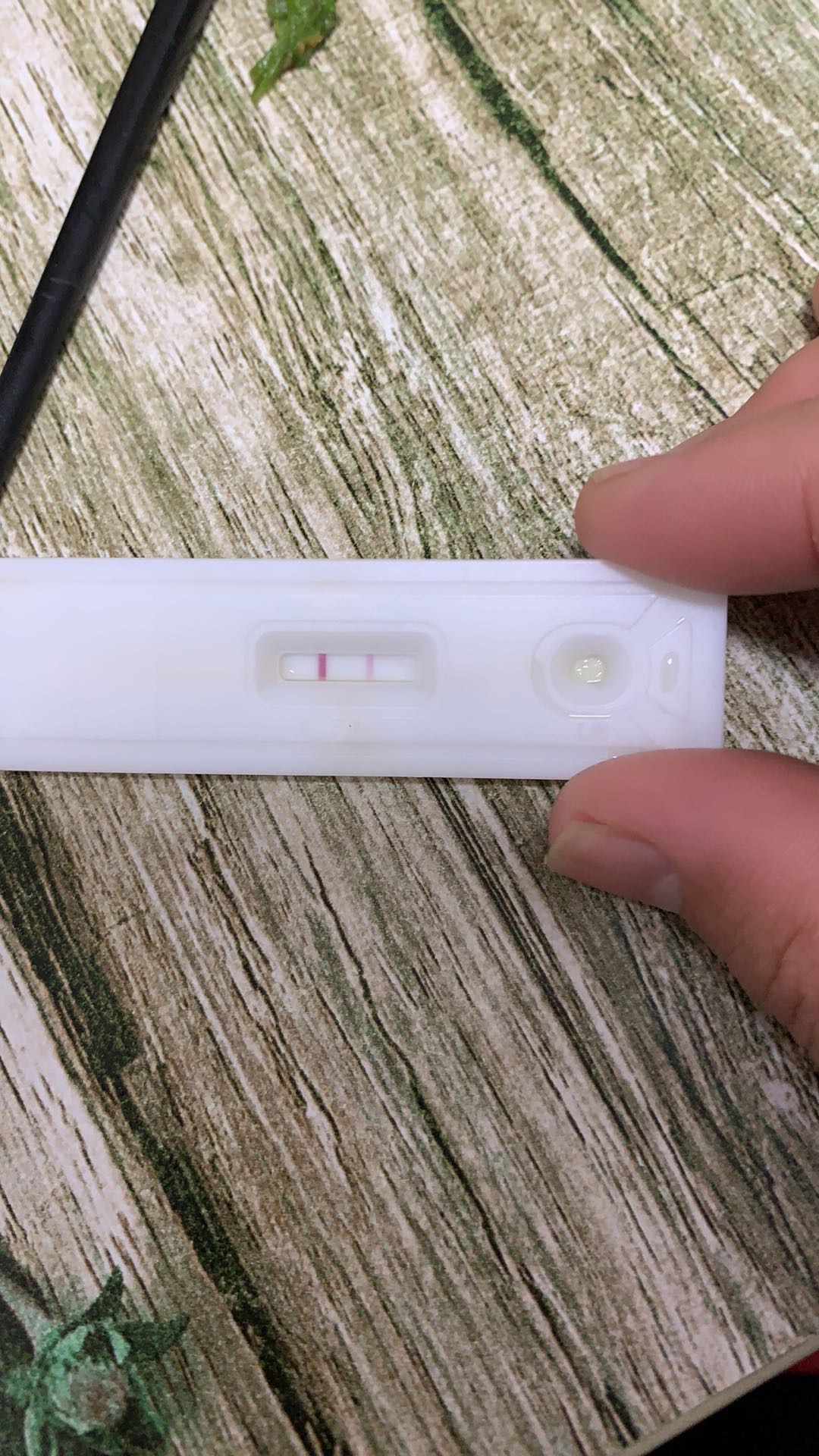 能不能看清是否是怀孕了