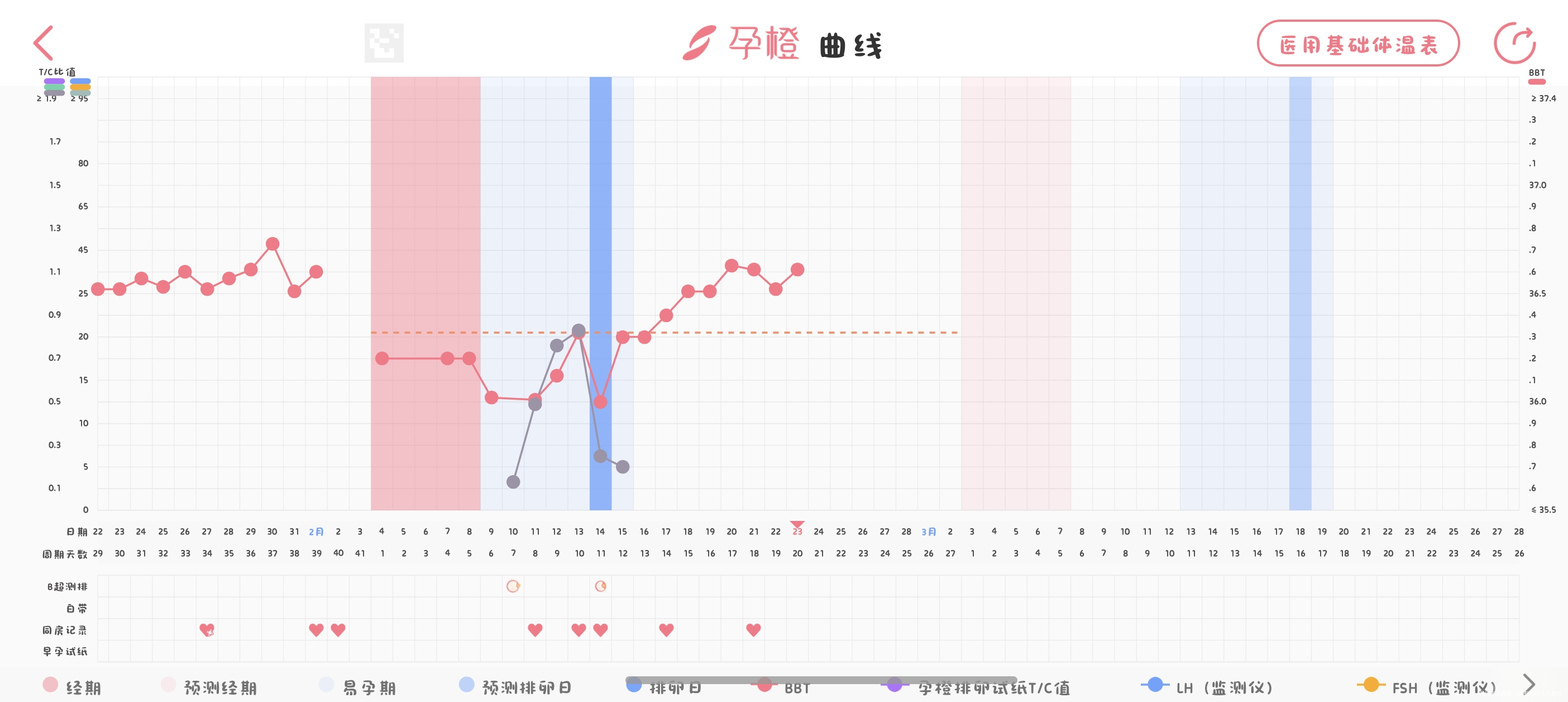 末次2月4号2月10号超声内膜5左侧优势13