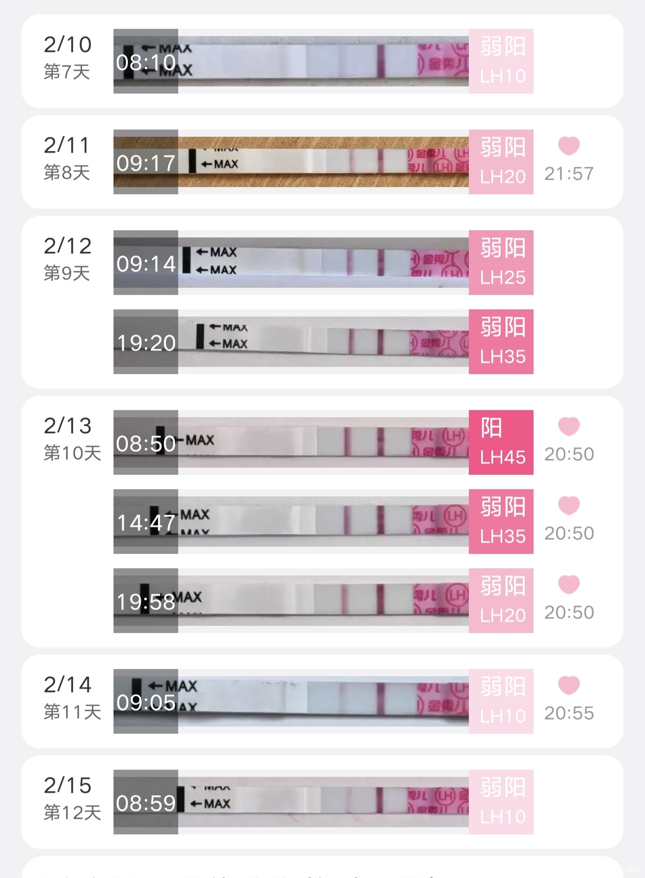末次2月4号2月10号超声内膜5左侧优势13