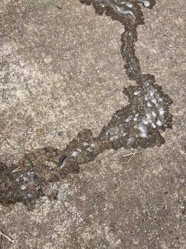 医生你好4岁4宝宝拉尿有这种泡沫白白的是什么