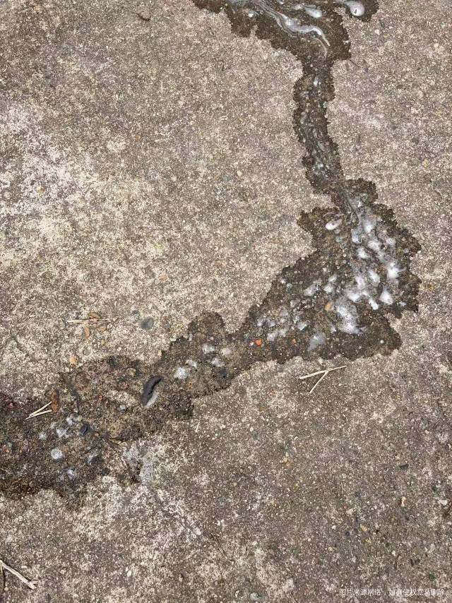 医生你好4岁4宝宝拉尿有这种泡沫白白的是什么