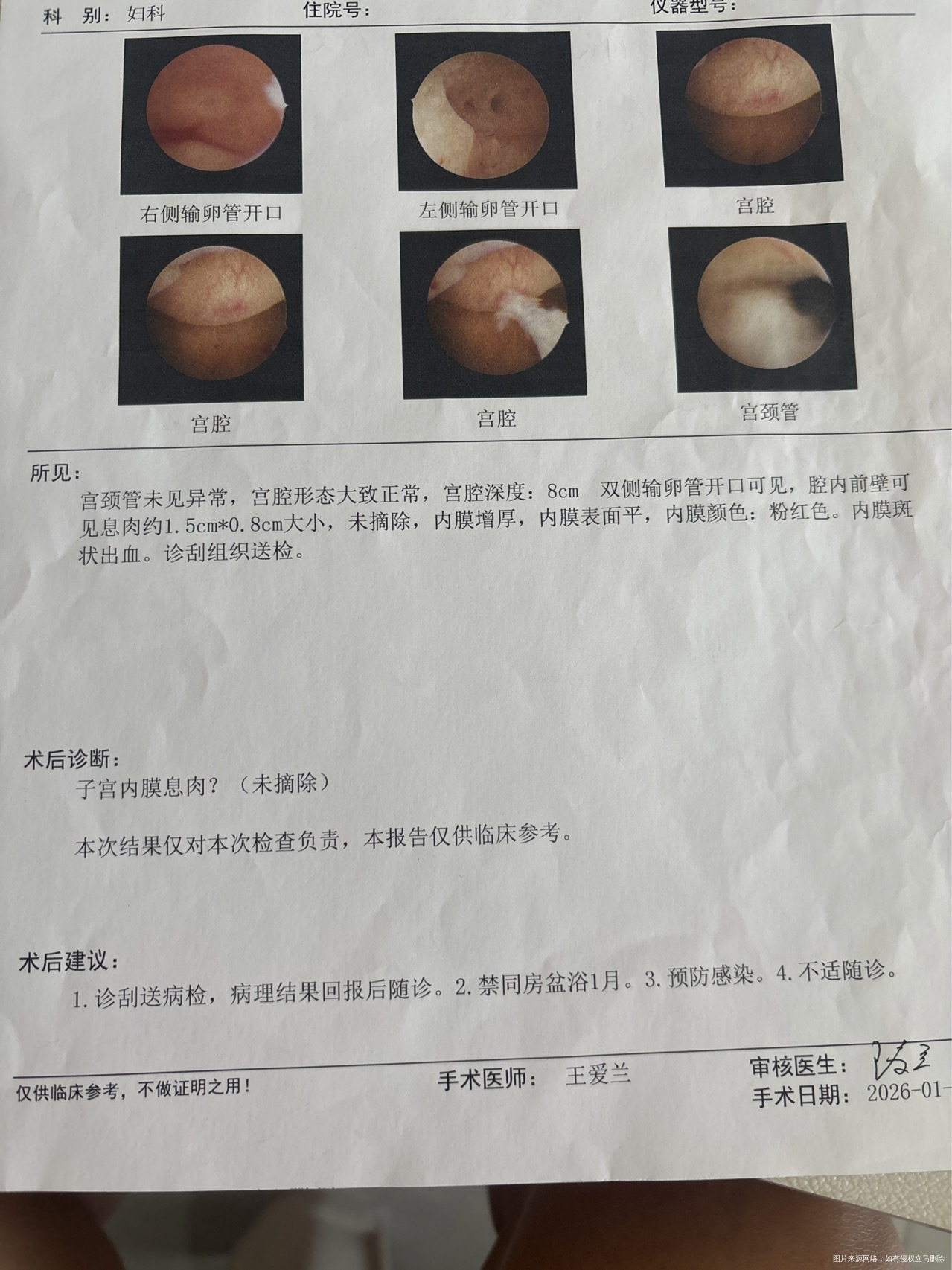 25年7月做了性激素六项血常规甲状腺功能的检