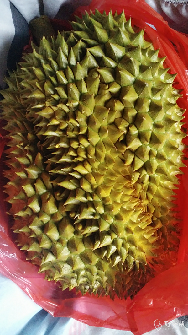 买了个大榴莲这下够补了吧