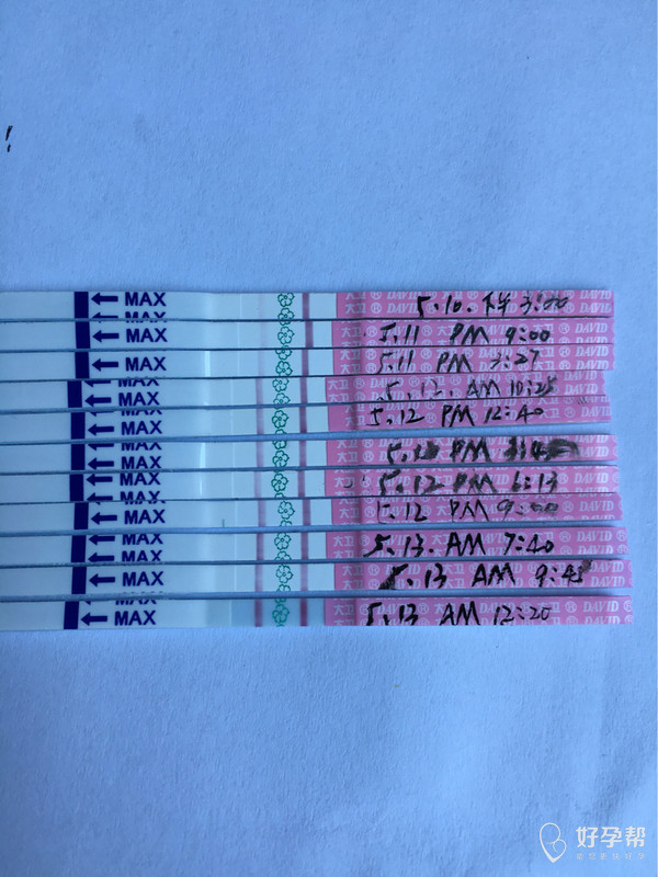 基础体温和排卵试纸的对比