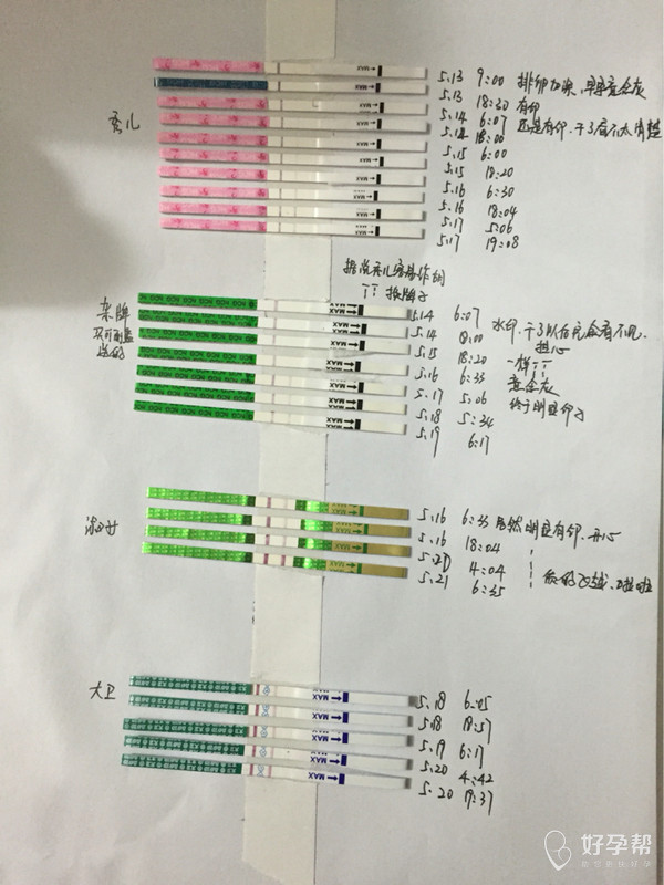 记录自己从排卵到早孕的试纸变化