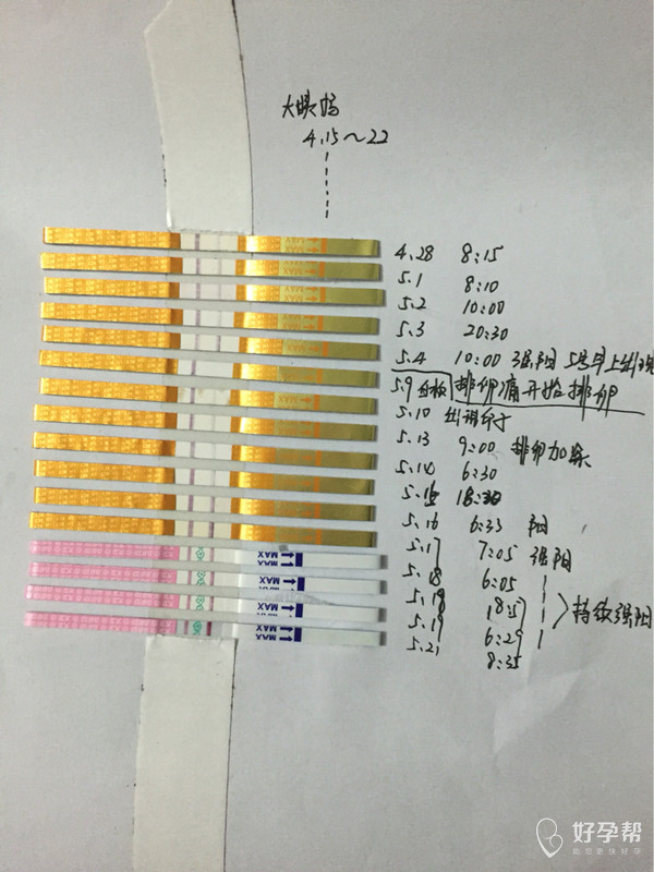 排卵試紙白板,10號出現淺印,13號秀兒首次測到意念灰,試紙幹了以後不