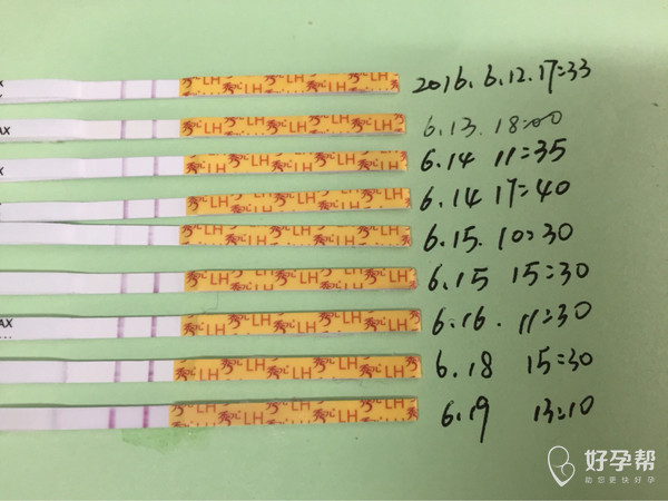 秀儿排卵试纸准不准确的 强阳很多天了