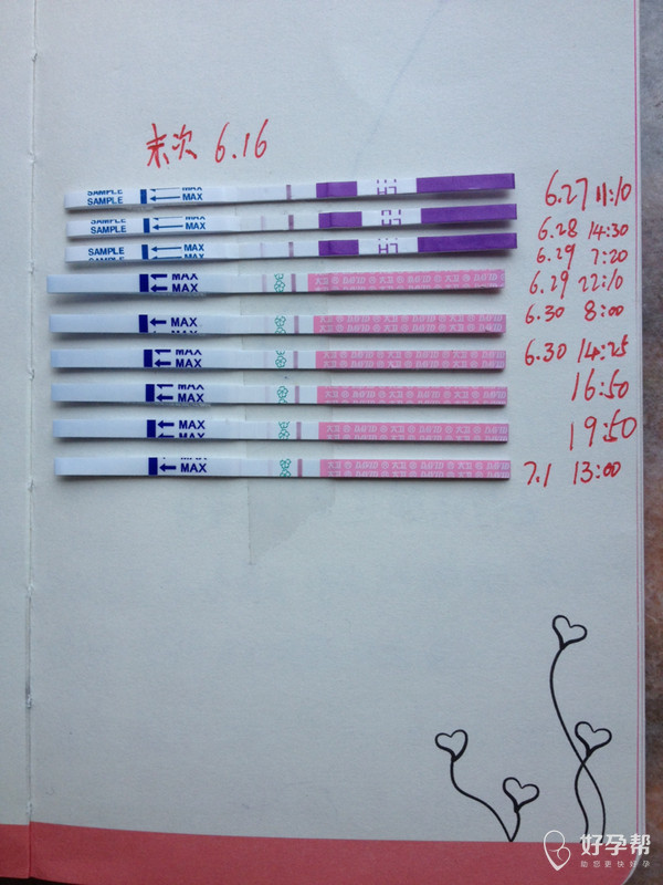 排卵期试纸怎么显示是排卵期 gw-topic