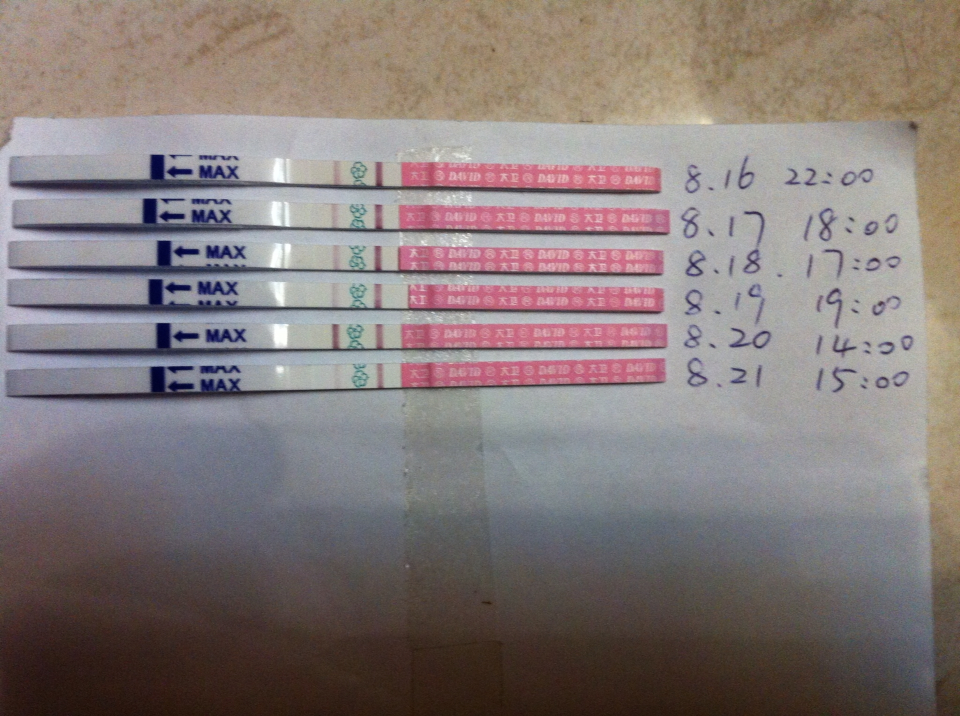 排卵試紙24小時內瞬間變弱正常嗎