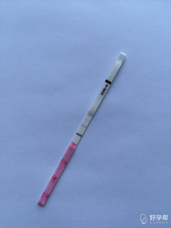 欲哭无泪居然是宫外孕试纸又加深了