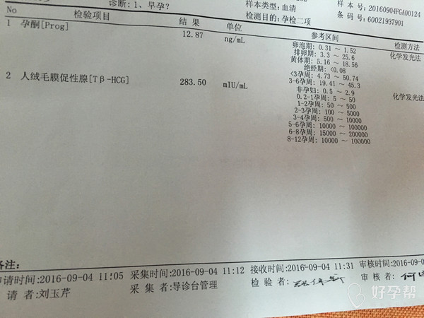今天验血了显示怀孕了