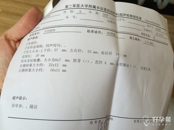 胎芽是什么,胎芽是什么意思