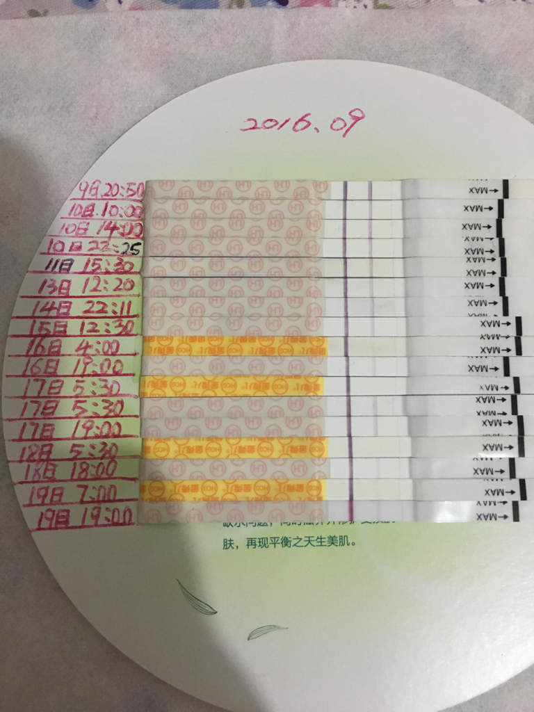 金秀儿排卵试纸变化图图片